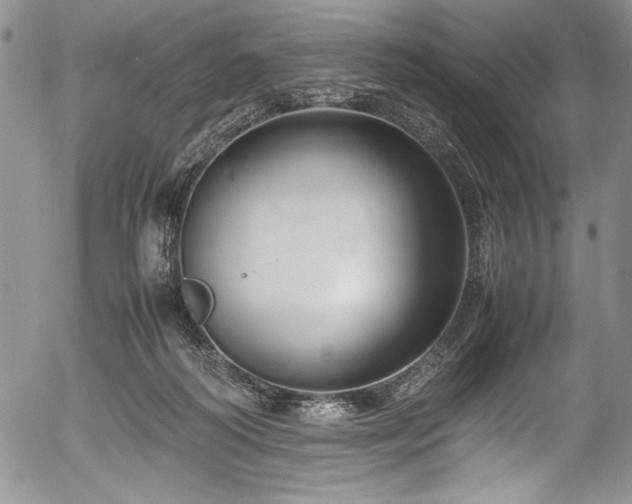 X0000054370218200508011229