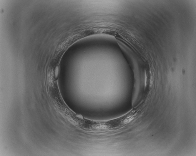 X0000054370219200508011229