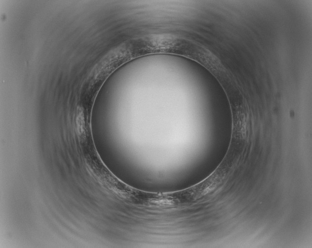 X0000054370220200508011229