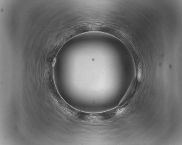 X0000054370221200508011229