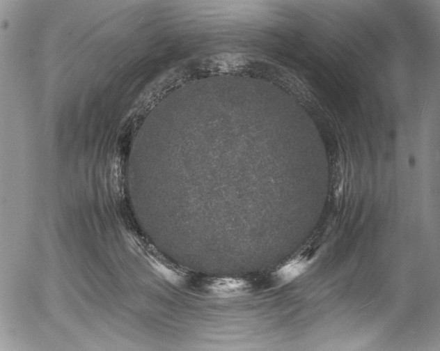 X0000054370222200508011229