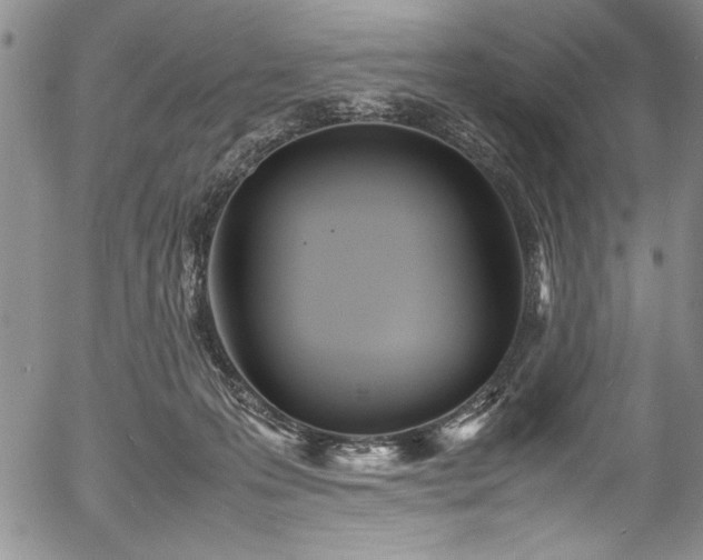 X0000054370223200508011229