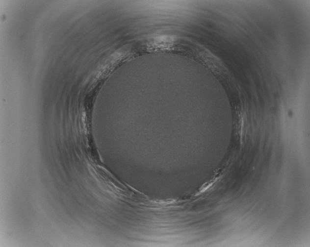 X0000054370224200508011229