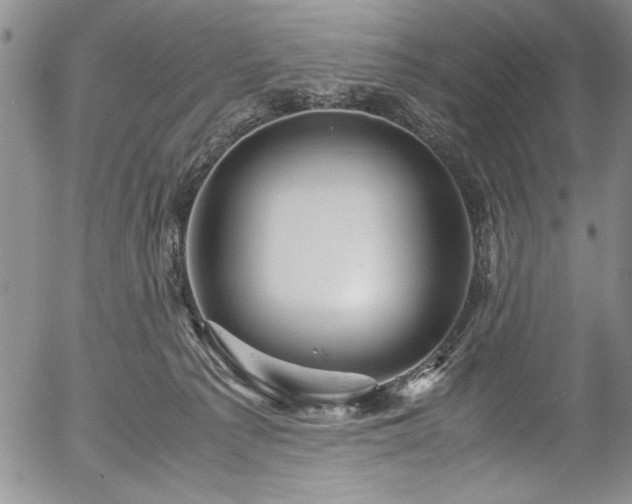 X0000054370225200508011229