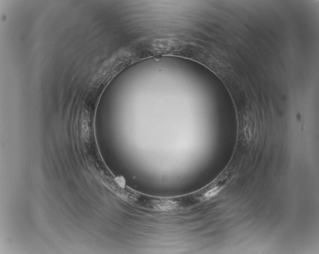 X0000054370226200508011229