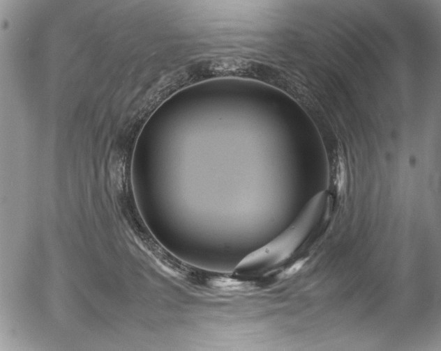 X0000054370227200508011229