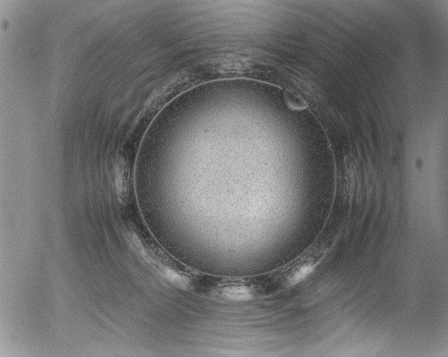 X0000054370228200508011229