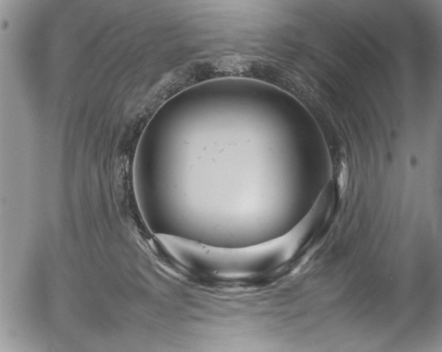 X0000054370229200508011229