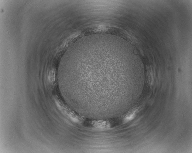 X0000054370230200508011229