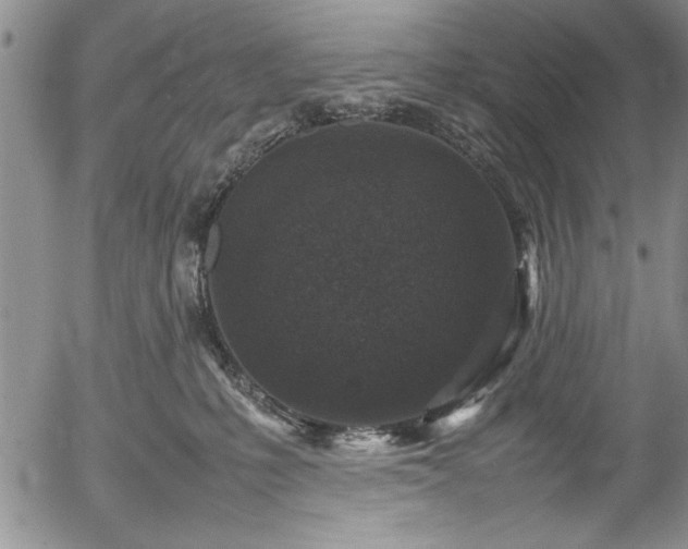 X0000054370231200508011229