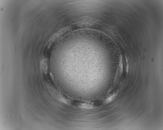 X0000054370232200508011229