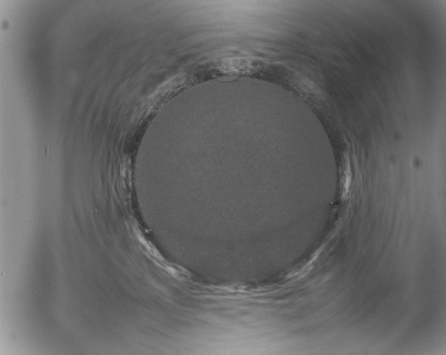 X0000054370233200508011229