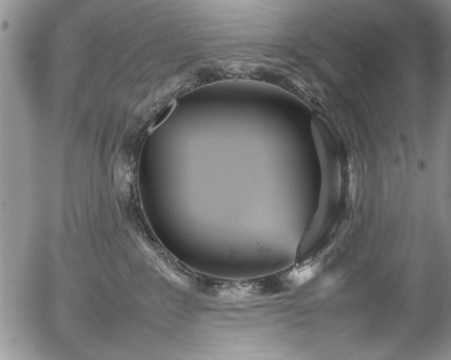 X0000054370235200508011229