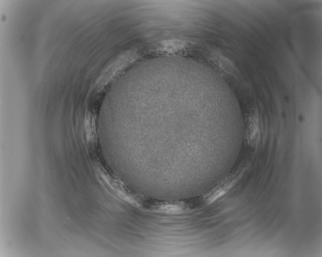 X0000054370236200508011229