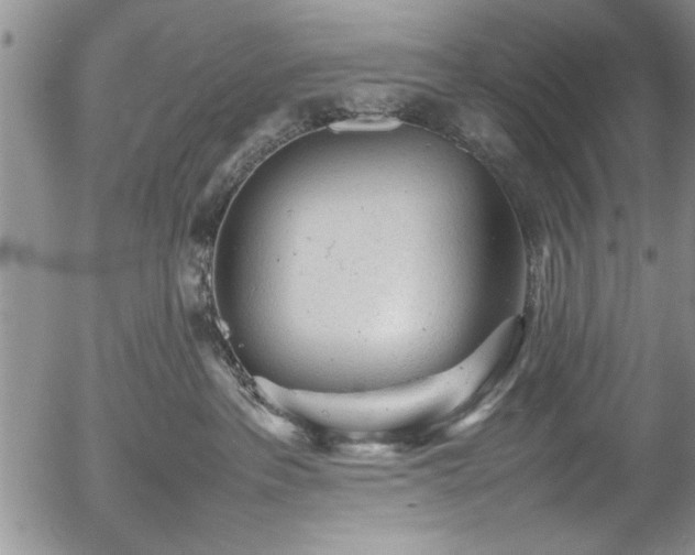 X0000054370237200508011229