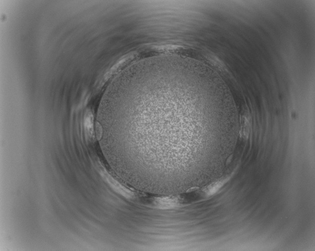 X0000054370238200508011229