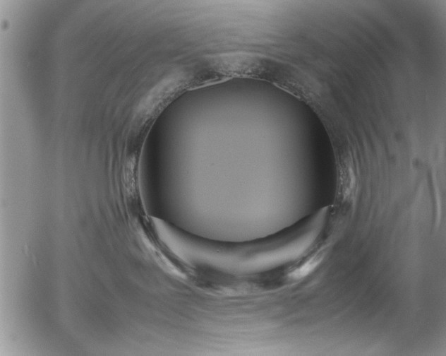 X0000054370239200508011229