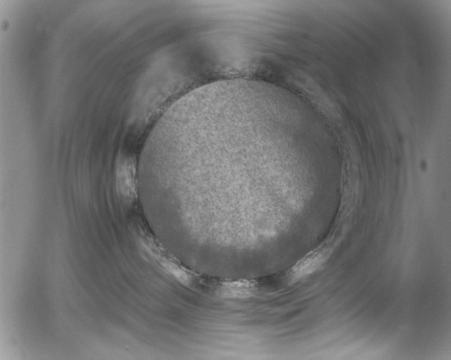 X0000054370240200508011228