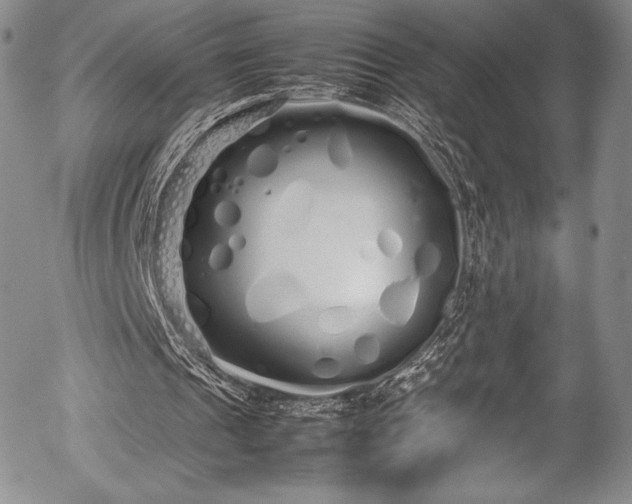 X0000054370241200508011228