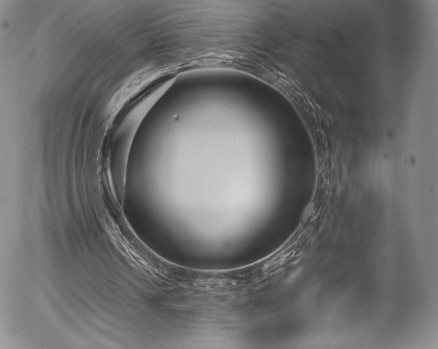 X0000054370242200508011228