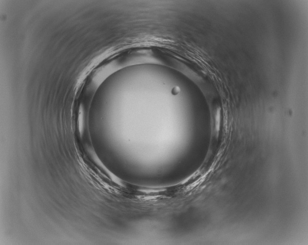 X0000054370244200508011228