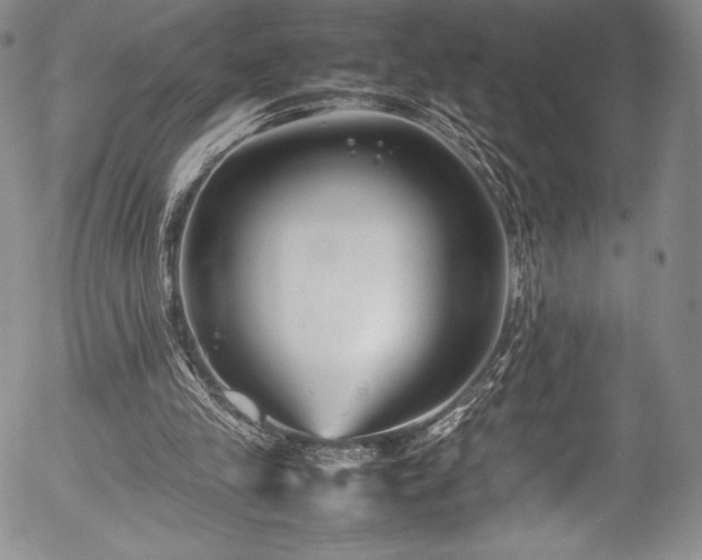 X0000054370245200508011228