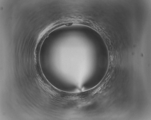 X0000054370246200508011228