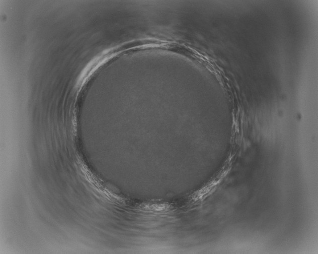 X0000054370247200508011228