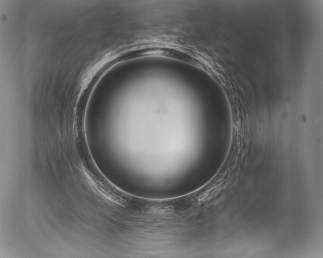 X0000054370248200508011228