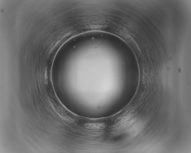 X0000054370251200508011228