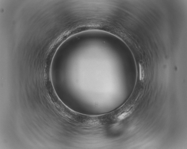 X0000054370252200508011228