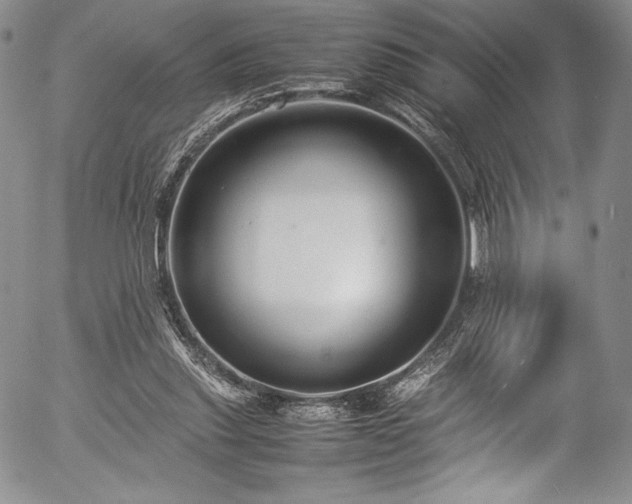 X0000054370253200508011228