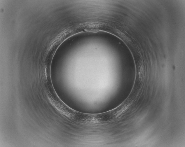 X0000054370254200508011228