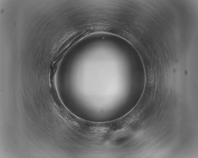 X0000054370255200508011228