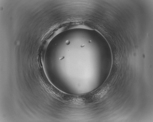 X0000054370256200508011228