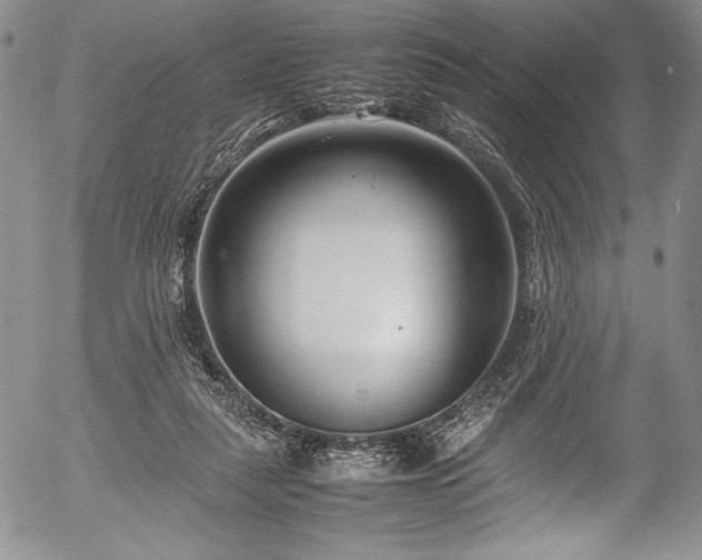 X0000054370259200508011228