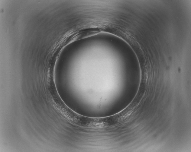 X0000054370260200508011228