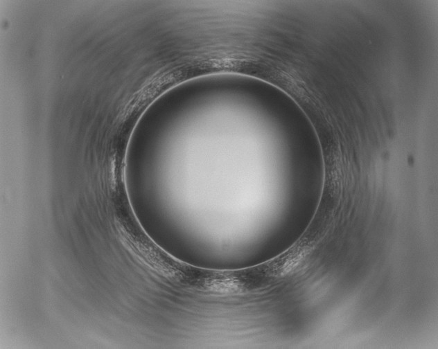 X0000054370262200508011228