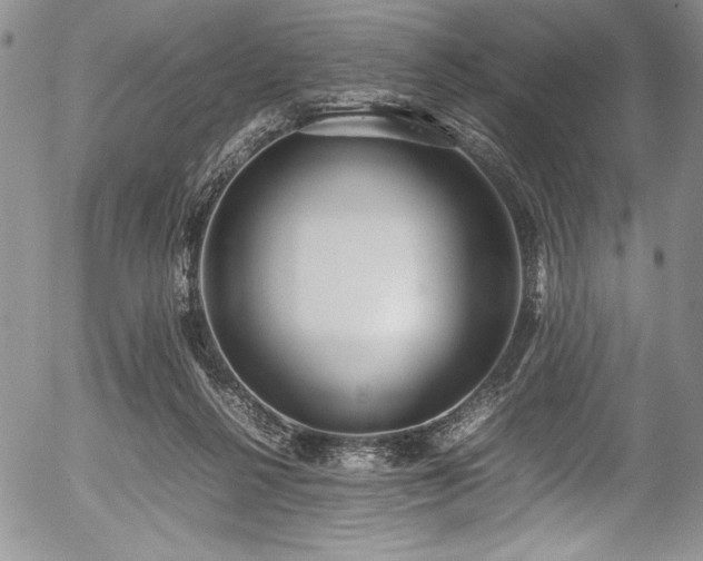 X0000054370264200508011228