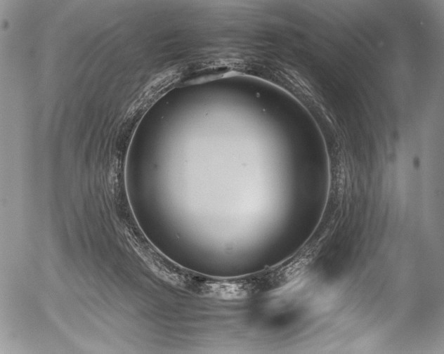 X0000054370265200508011228