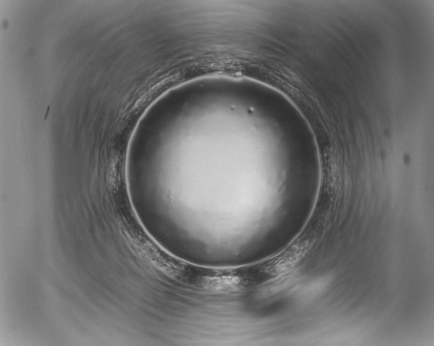 X0000054370266200508011228