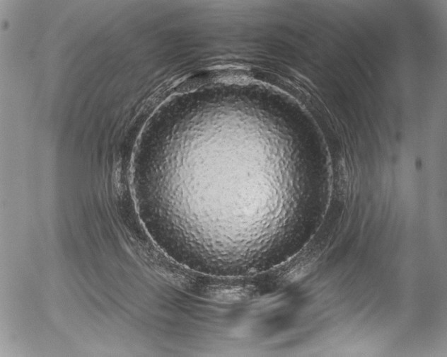 X0000054370267200508011228