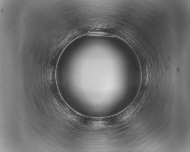 X0000054370268200508011228