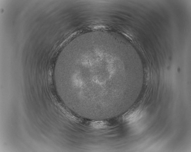 X0000054370269200508011228