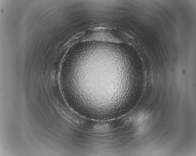 X0000054370271200508011228