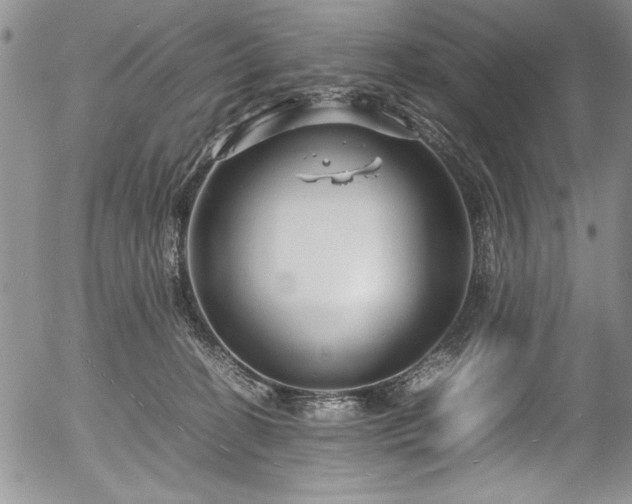 X0000054370274200508011228