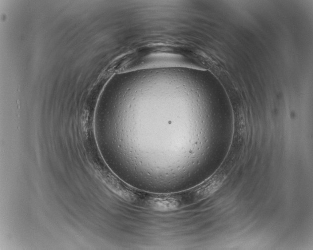 X0000054370275200508011228