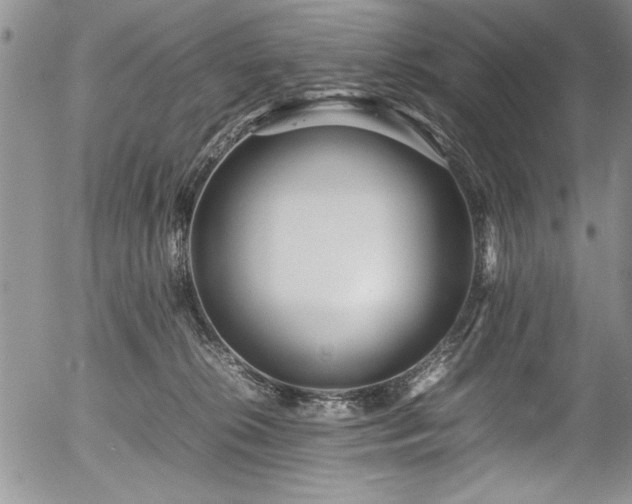 X0000054370276200508011228