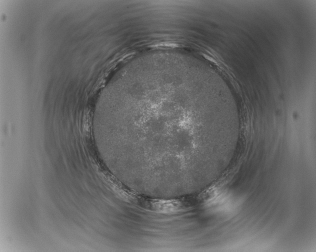 X0000054370277200508011228