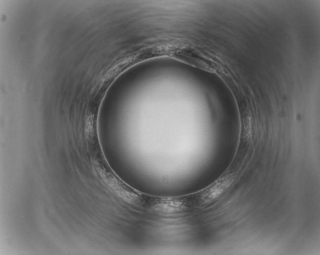 X0000054370278200508011228